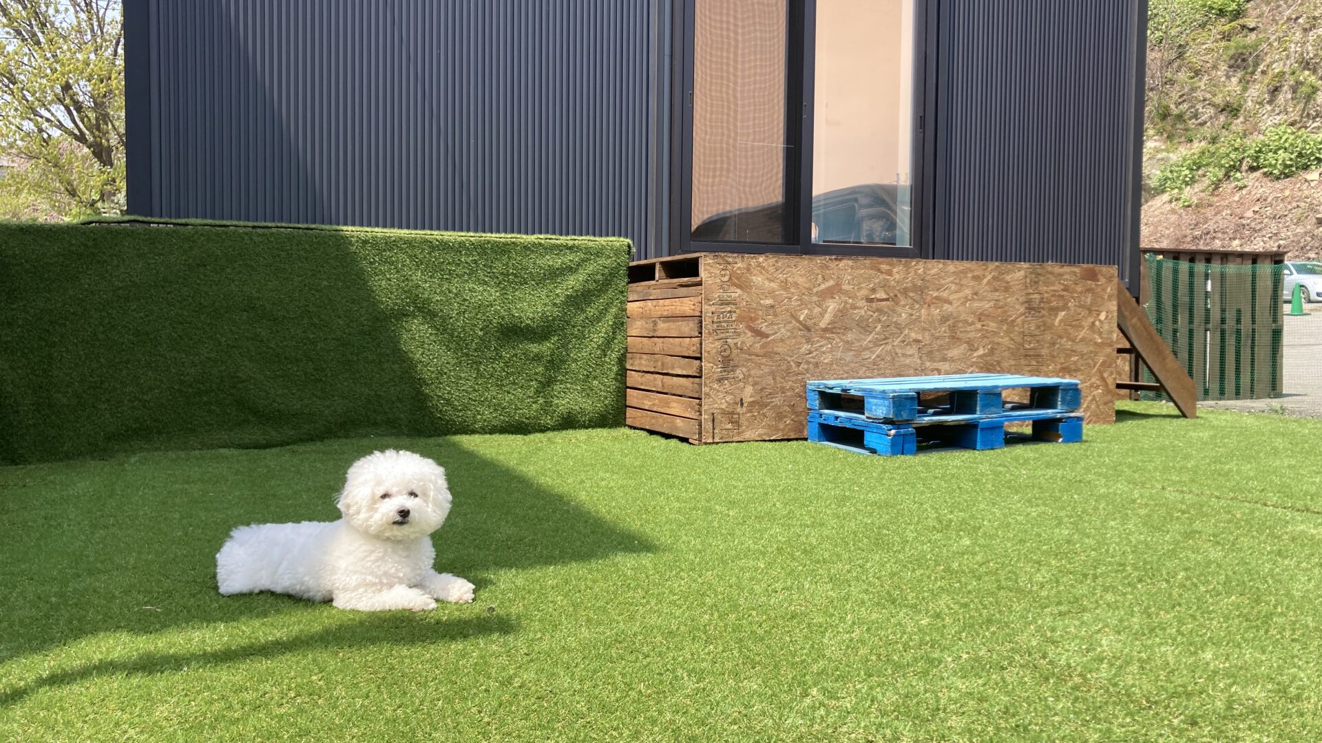 ペット同伴規約