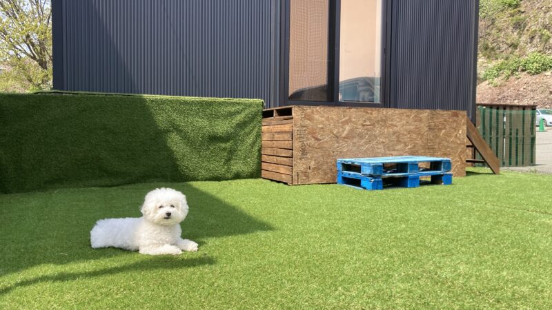 ペット同伴規約