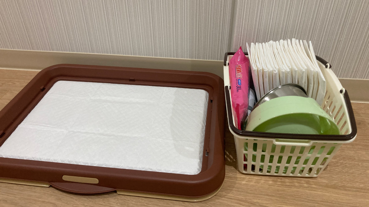 ペット可ツイン